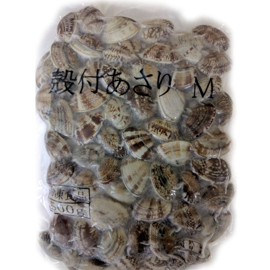 業務用 殻付あさり M 500g