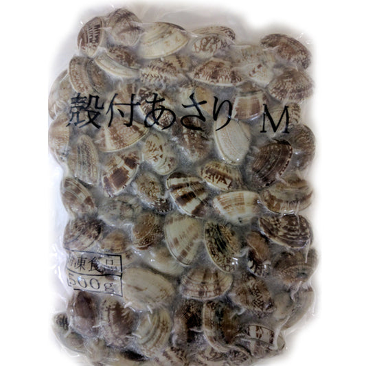 業務用 殻付あさり M 500g